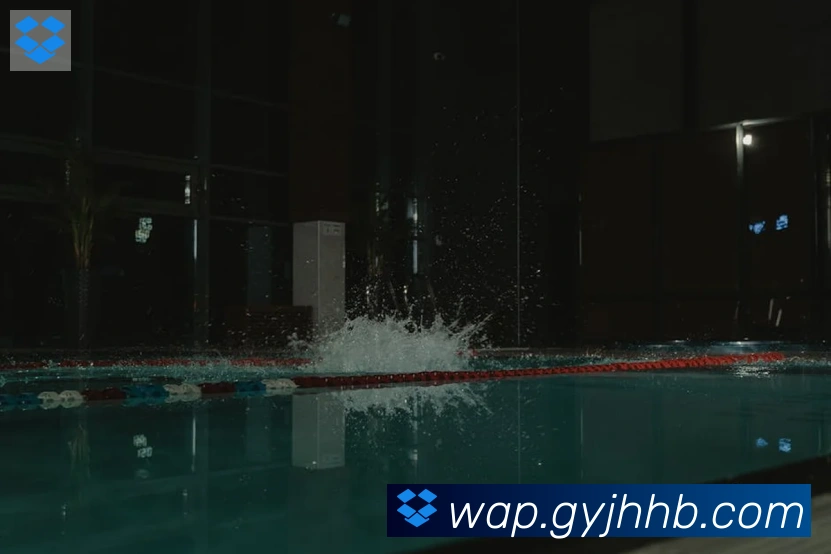 博亚app发展历程