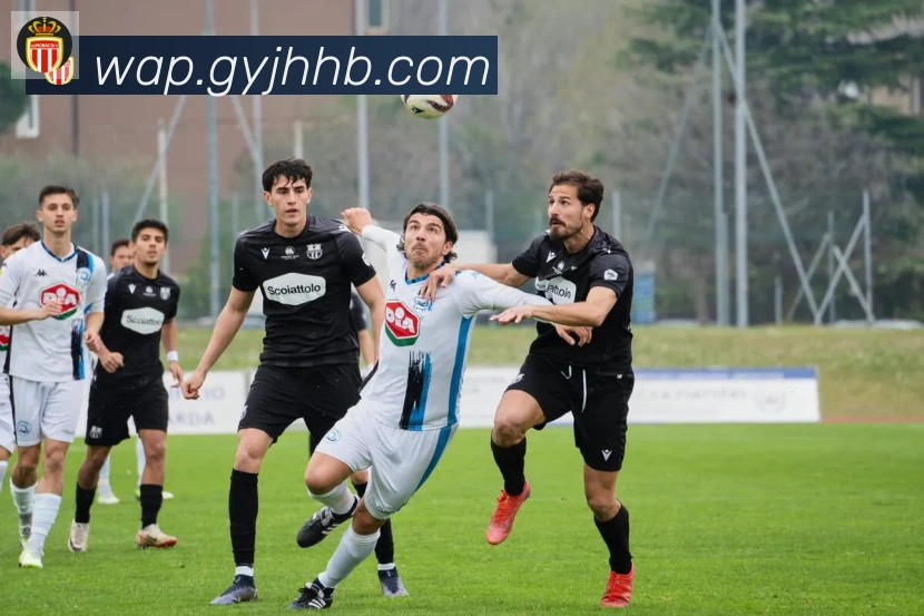 博亚app服务体系